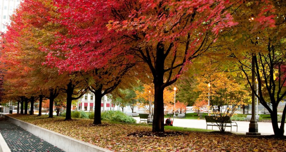 Best Fall Foliage Destinations (3)