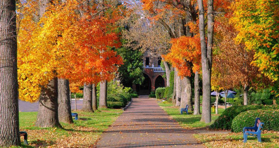 Best Fall Foliage Destinations